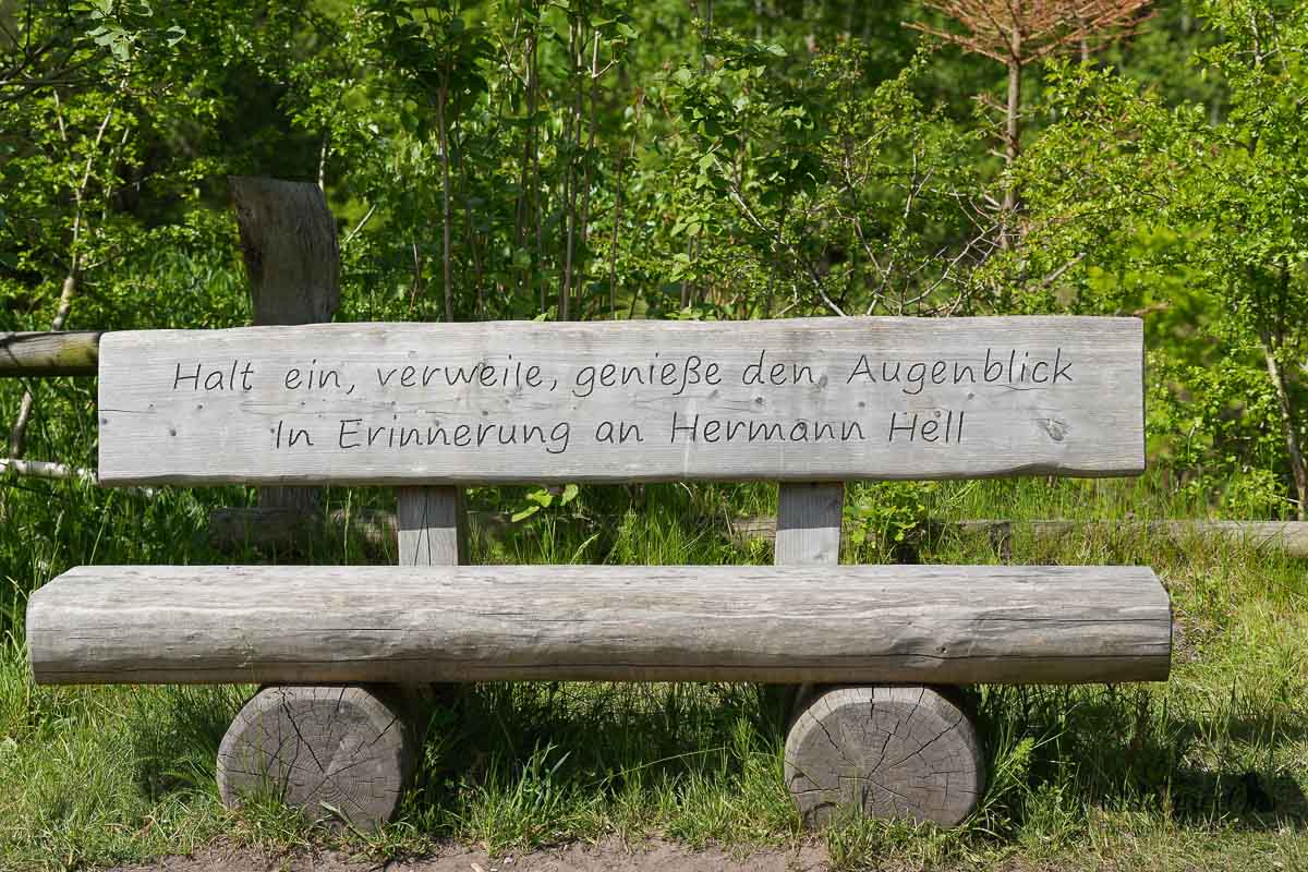 Mehr über den Artikel erfahren Liether Kalkgrube