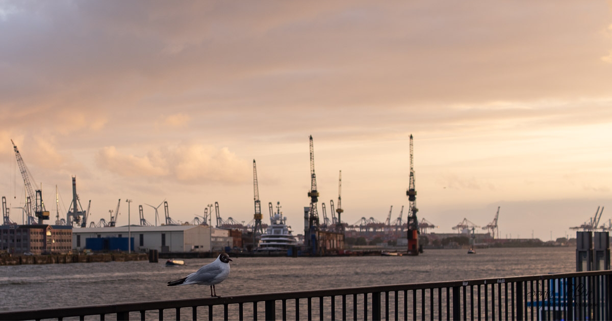 Hamburg Landungsbrücken